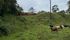 WhatsApp Image 2025-05-14 at 14.45.38.jpeg